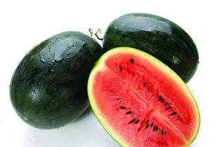 如何防虫吃瓜叶,守护丰收的秘密武器