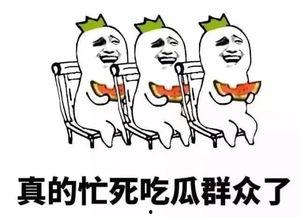 阿婆只吃瓜,一场与甜蜜瓜果的奇妙邂逅