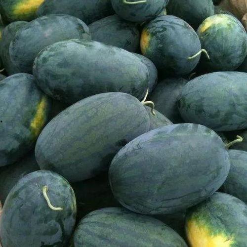 宝莉理性吃瓜,揭秘娱乐圈幕后真相