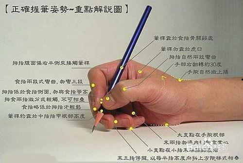 吃瓜写字笔,吃瓜群众笔下的娱乐圈风云录
