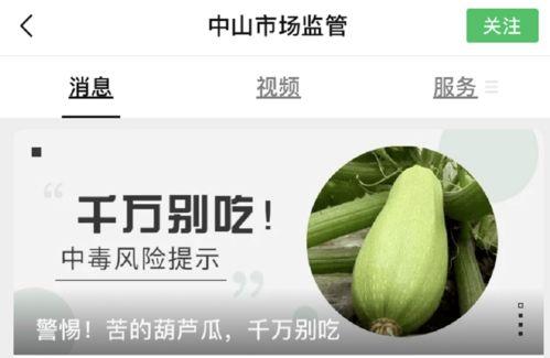 什么是吃毒瓜,揭秘吃毒瓜的真相与防范措施