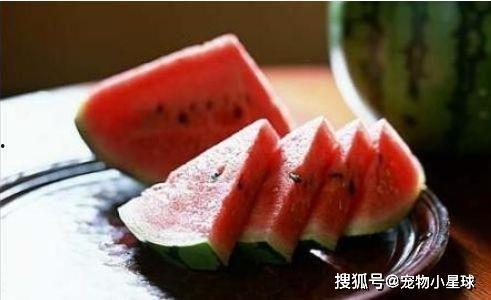 路过看看吃瓜,吃瓜群众眼中的娱乐圈风云