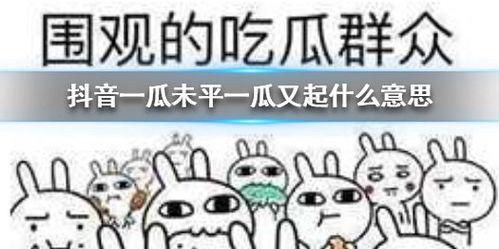 专业抖音吃瓜,专业吃瓜者的狂欢盛宴