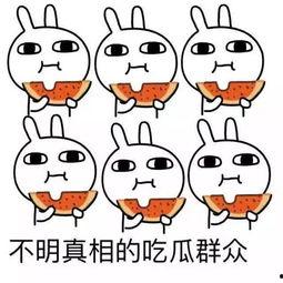 吃瓜小太阳,揭秘娱乐圈幕后故事